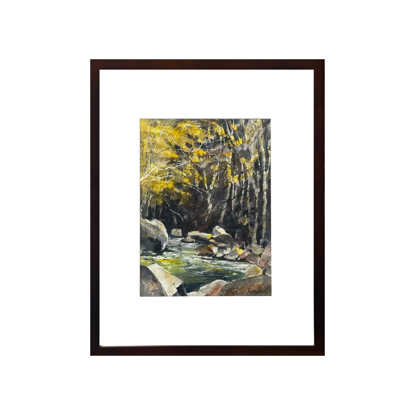 Sabino Saturday by Chuck Albanese