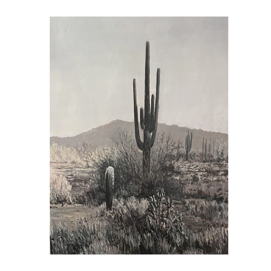 The Desert in Black & White by John Horejs