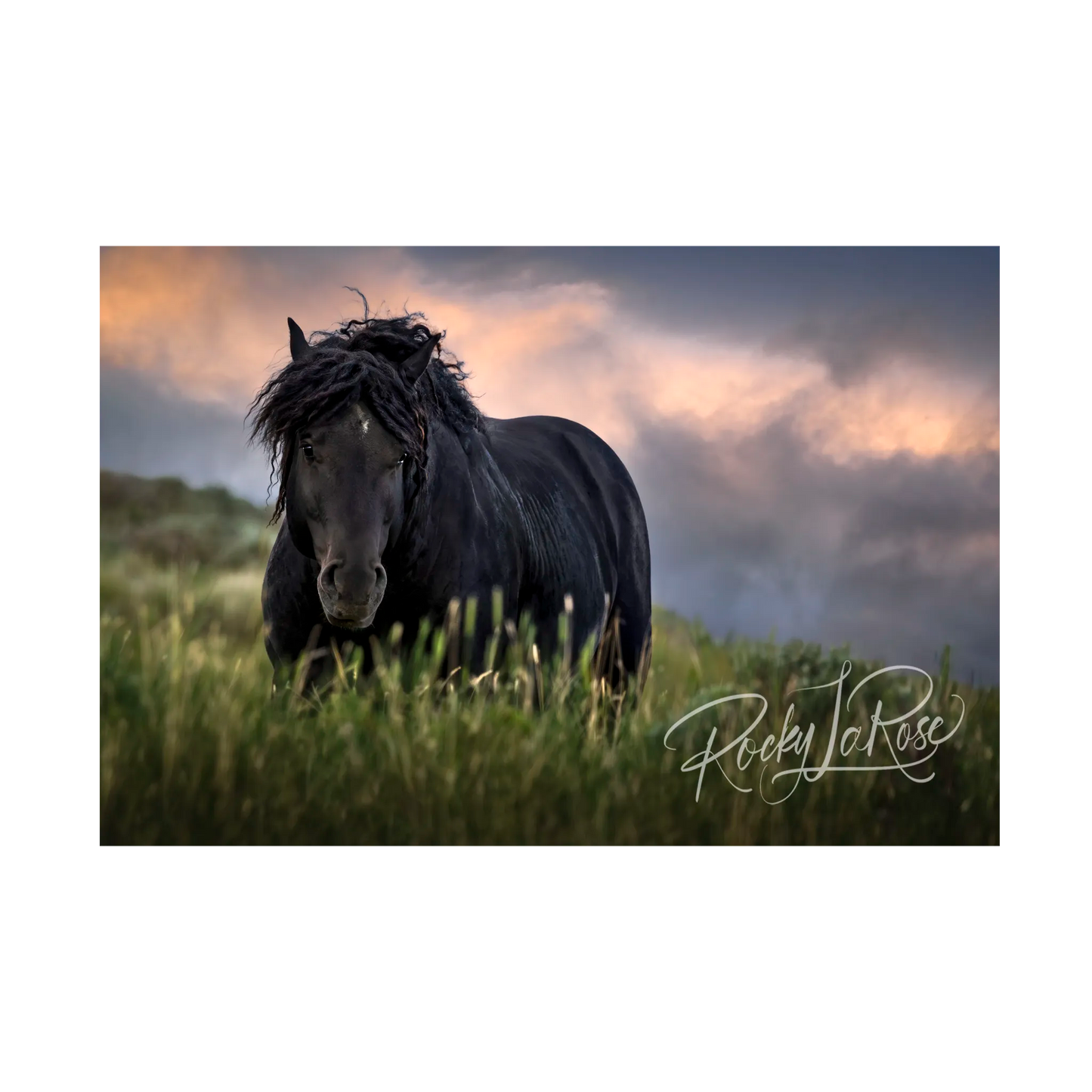 The Old One by Rocky LaRose - Metal Print