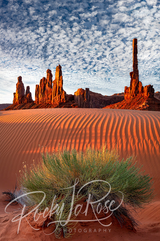 Sands of Yei Bi Chei by Rocky LaRose