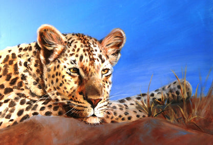 African Queen- Matted Print