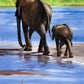 Baby on Board- Matted Print