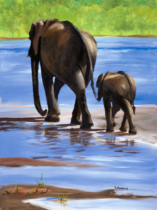 Baby on Board- Matted Print