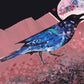 Blackbird Singing in the Dead of Night- Matted Print