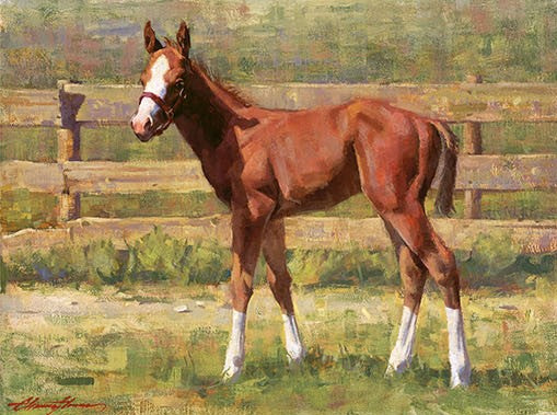 Mr. Long Stockings by Chauncey Homer- Canvas Giclée