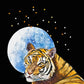 Eye of Tiger - Matted Print