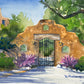 Gate in the Santa Ritas- Matted Print