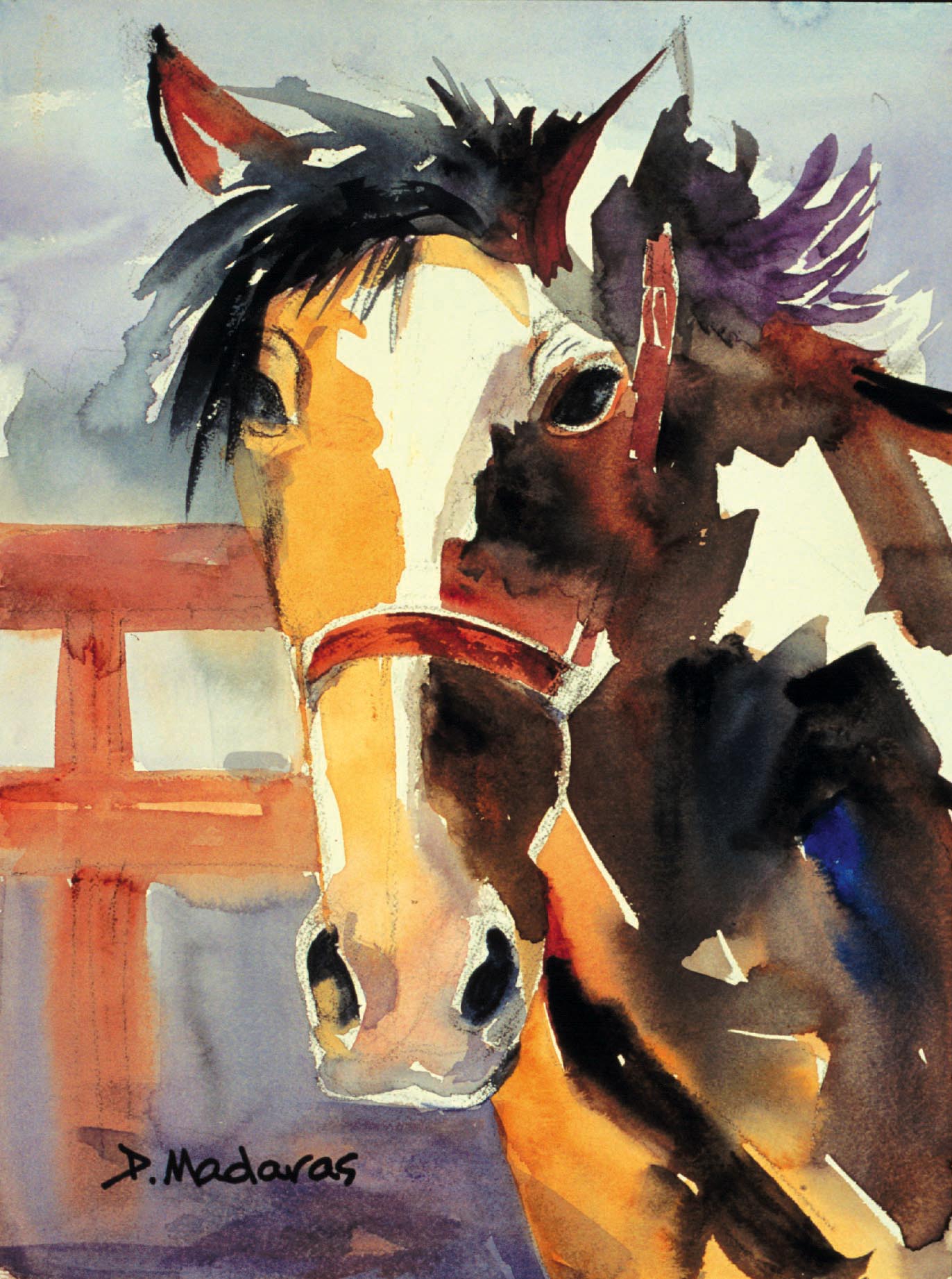 Geronimo- Matted Print