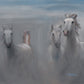 Horses in the Mist- Matted Print