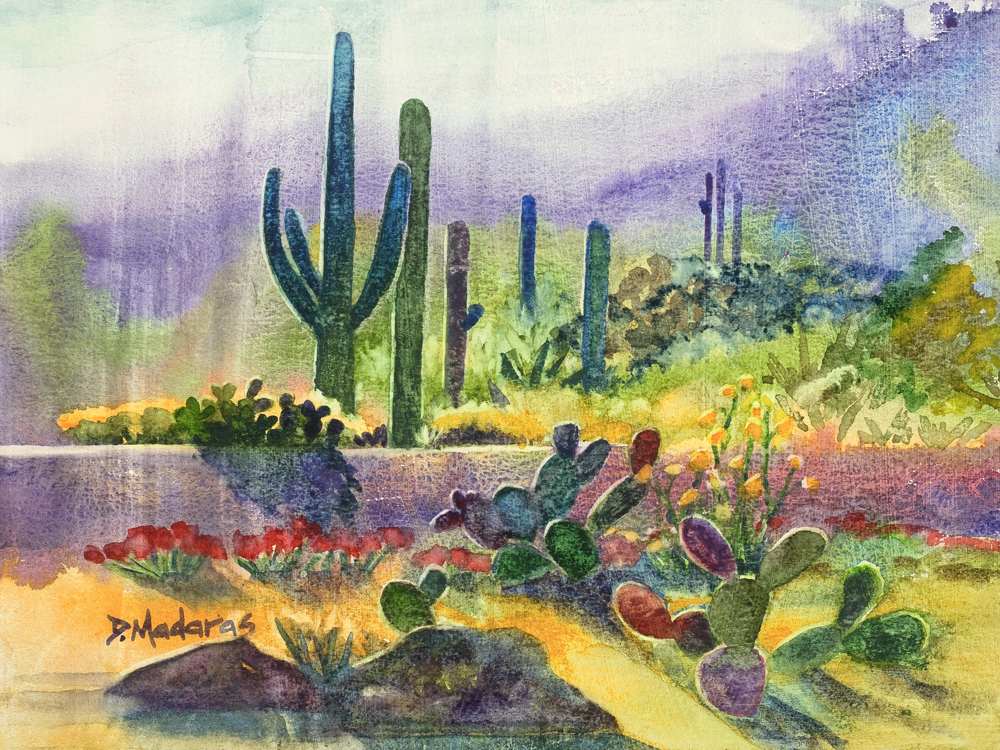 Mark's Desert- Matted Print