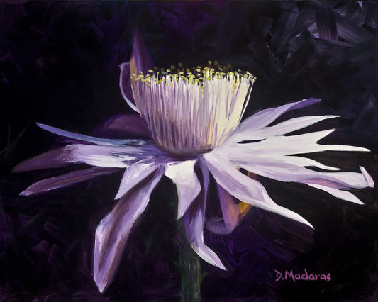 Night Blooming Cereus 1- Matted Print