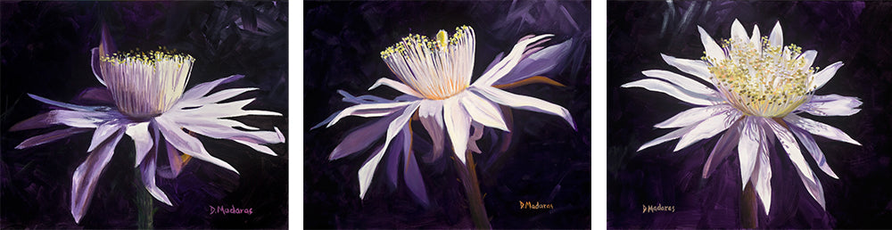 Night Blooming Cereus 1, 2, 3- Canvas Triptych