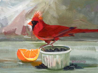 Orange Cardinal- Matted Print