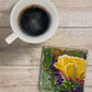 Prickly Pear Bloom - Coaster