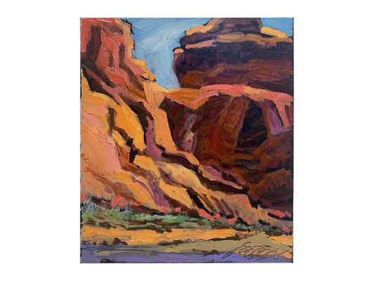 Canyon in Coral Light by Sharon Hodges