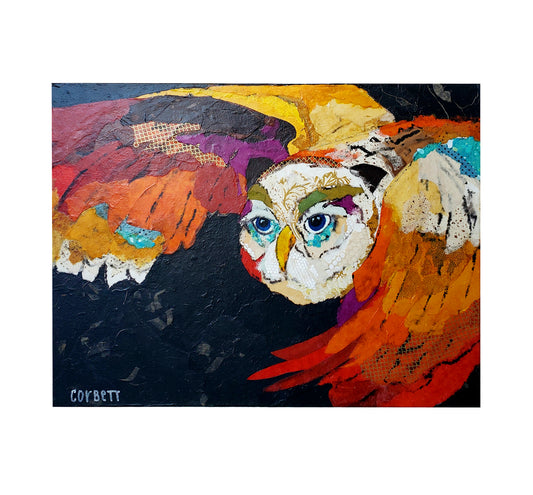 Simon (Owl) by Pam Corbett