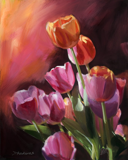 Tulips at Sunset D&M- Matted Print