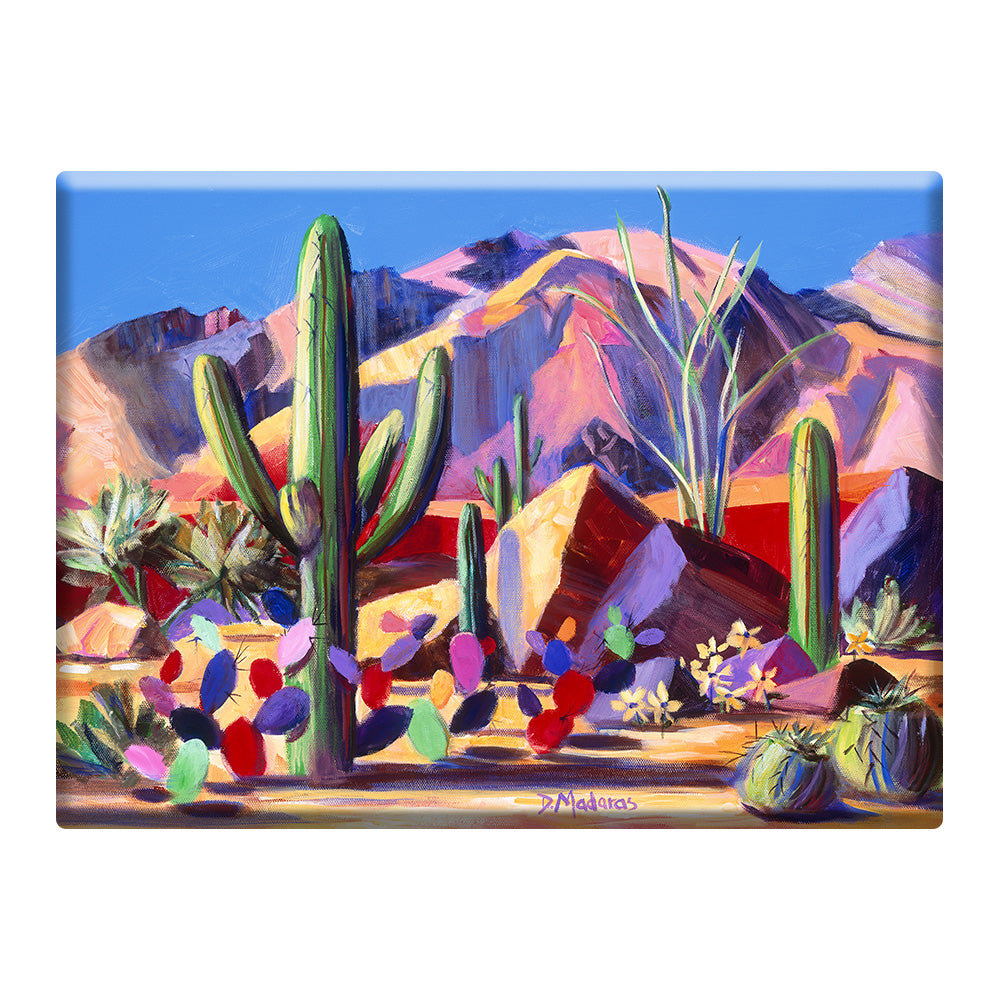 Catalina Magic- Mini Canvas