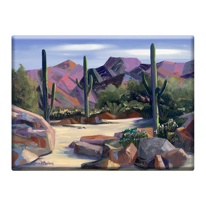 Dry River Bed- Mini Canvas