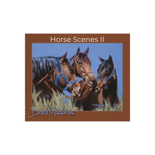 Horse Scenes II Boxed Note Cards