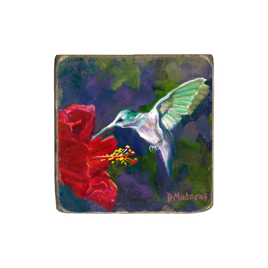 Hummingbird and the Hibiscus - Coaster