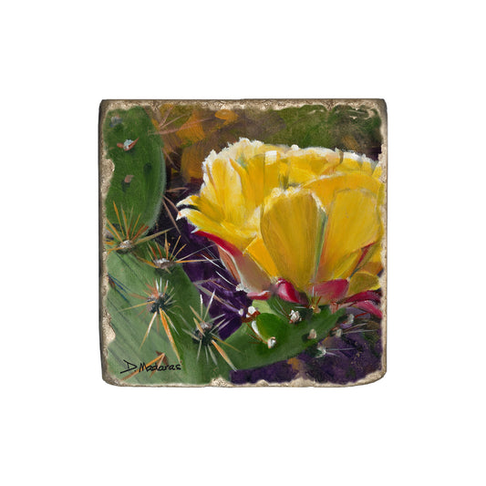 Prickly Pear Bloom - Coaster